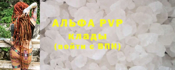кокс Белокуриха