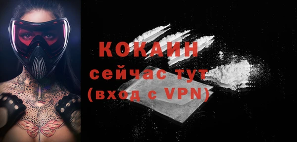 кокс Белокуриха