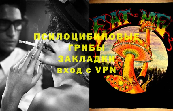 кокс Белокуриха