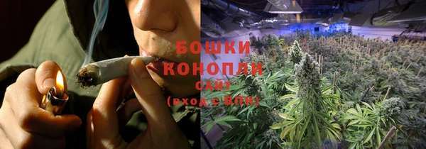 кокс Белокуриха